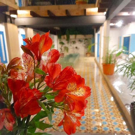 Hotel Pepen San Cristóbal de Las Casas Eksteriør billede