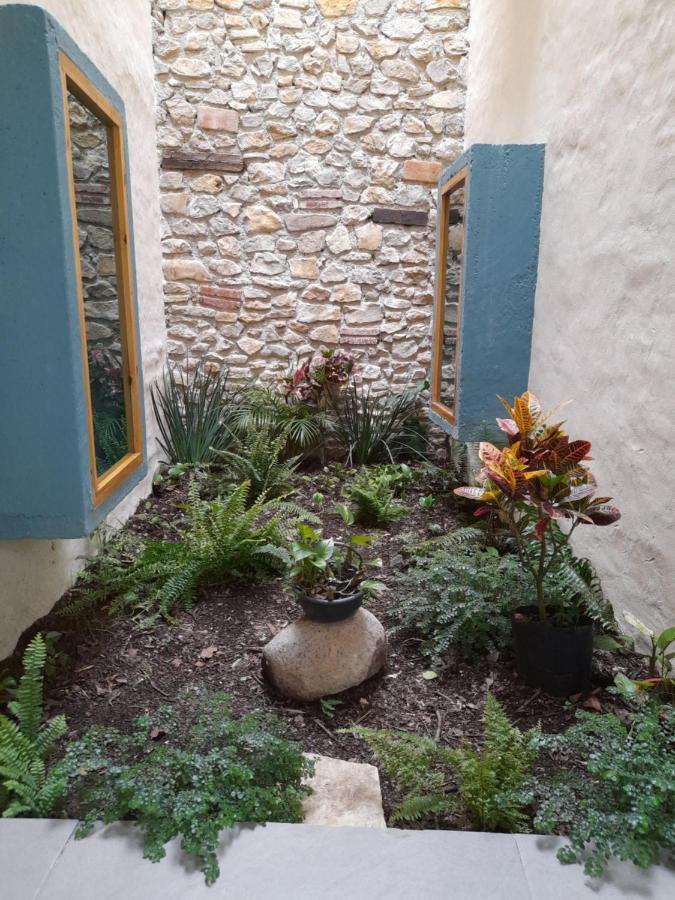 Hotel Pepen San Cristóbal de Las Casas Eksteriør billede